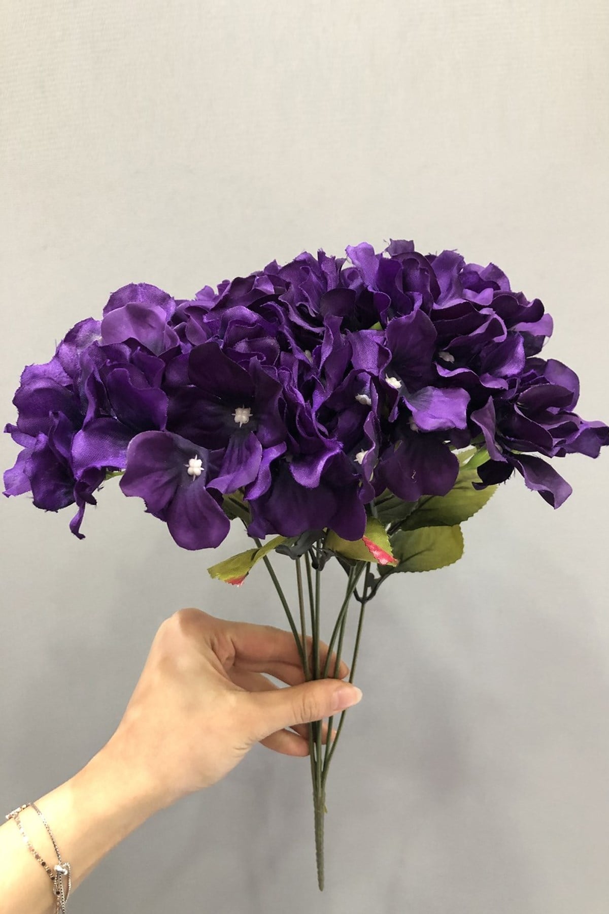 Purple Hydrangea Flower