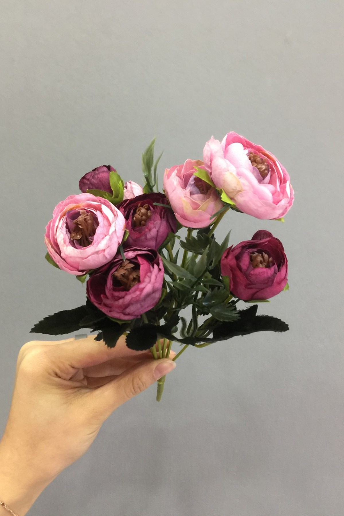 Pembe Mor Ebruli Şakayık Çiçek