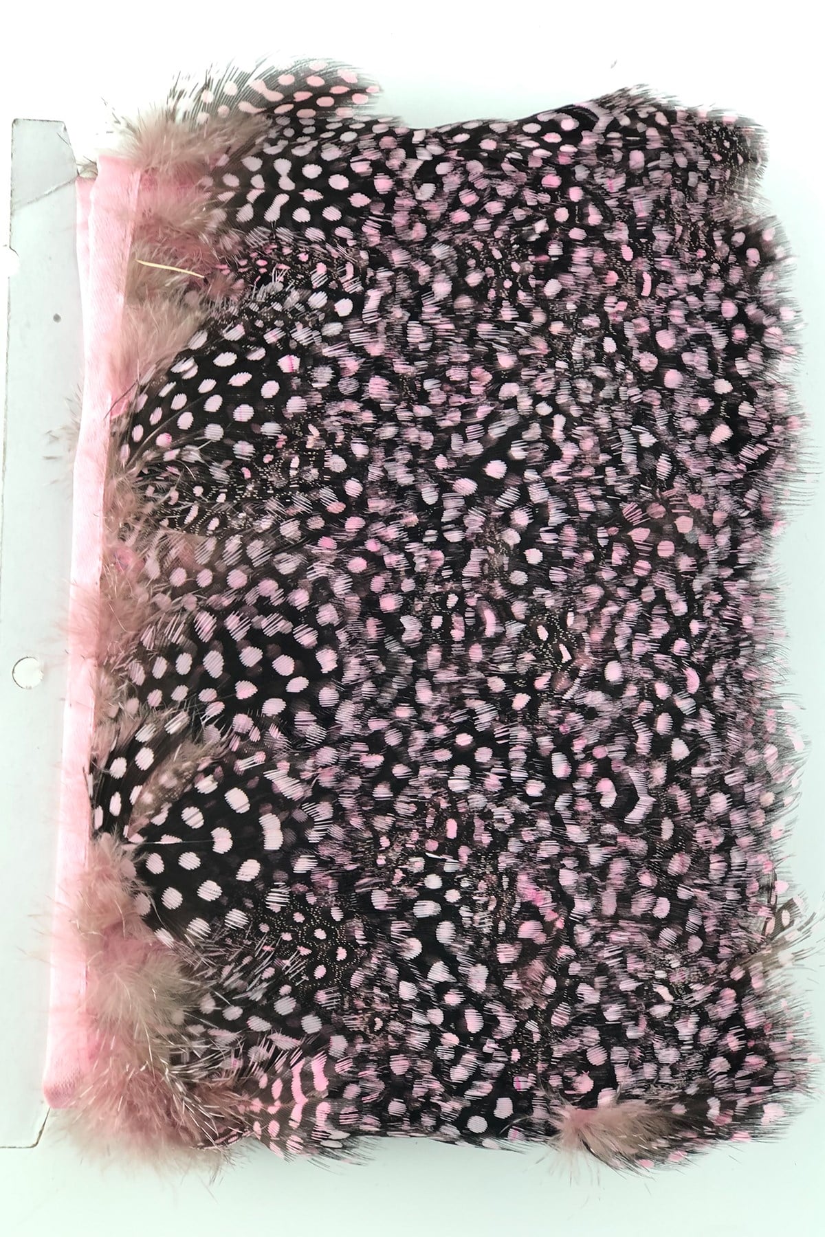 Pembe Puanlı Gine Tavugu Tüyü