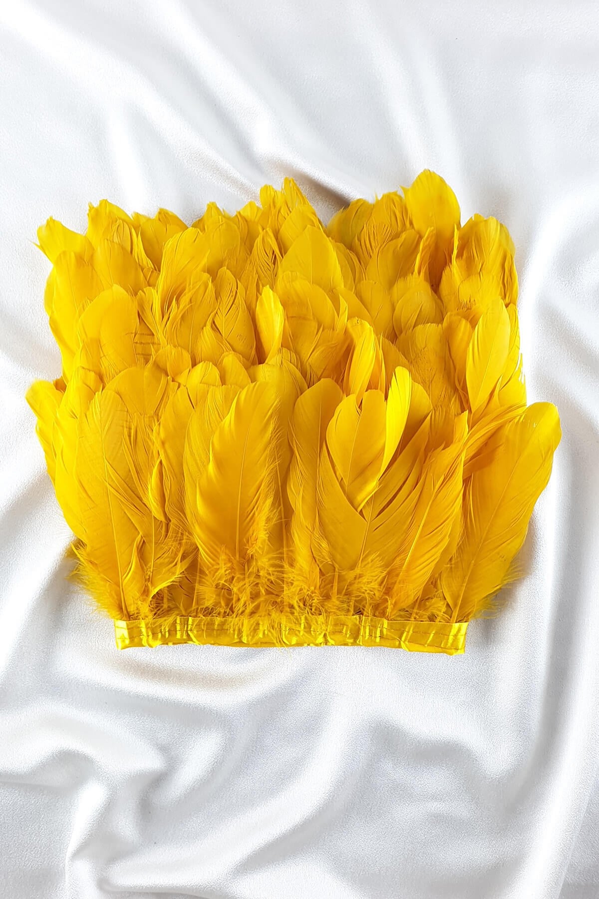 Yellow Eagle Feather