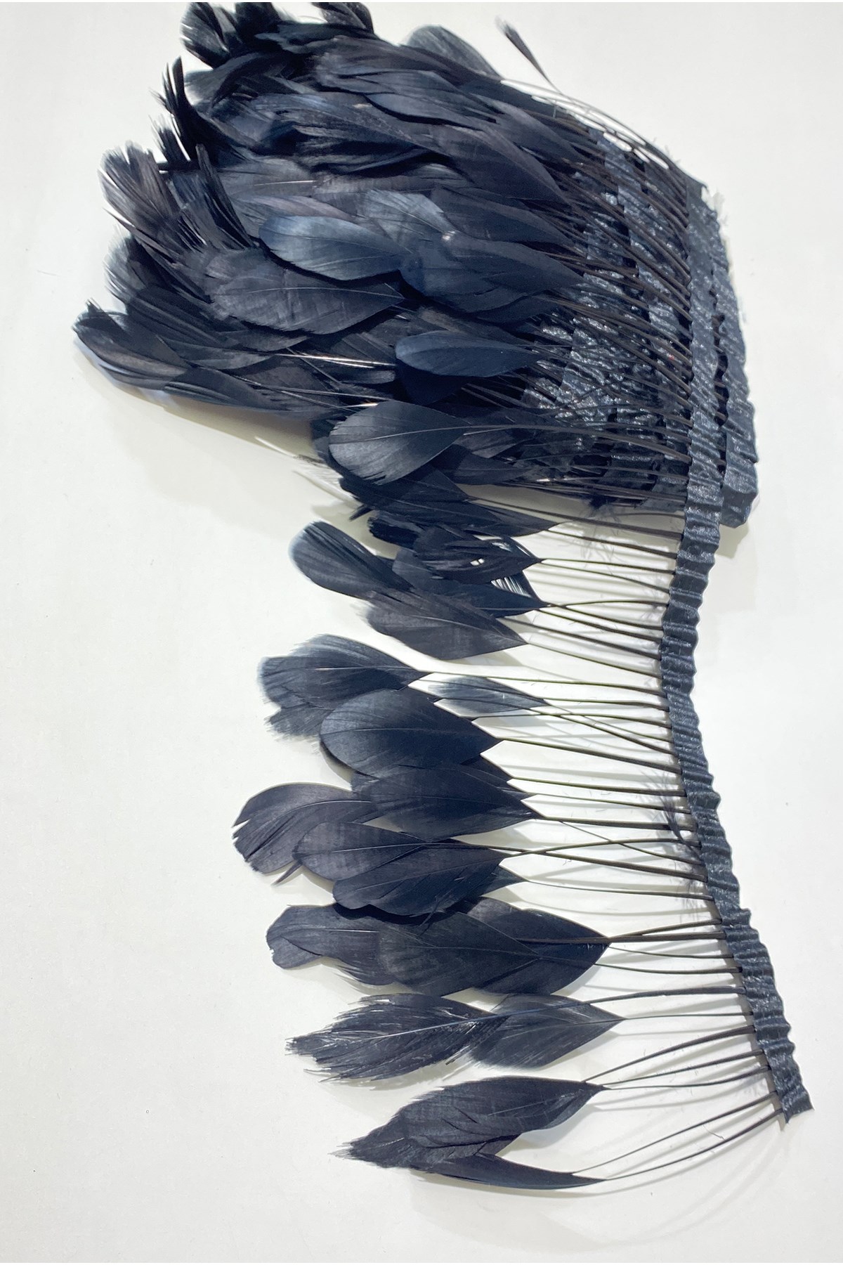 Siyah Malibu Deve Kuşu Tüyü | Hayalperest