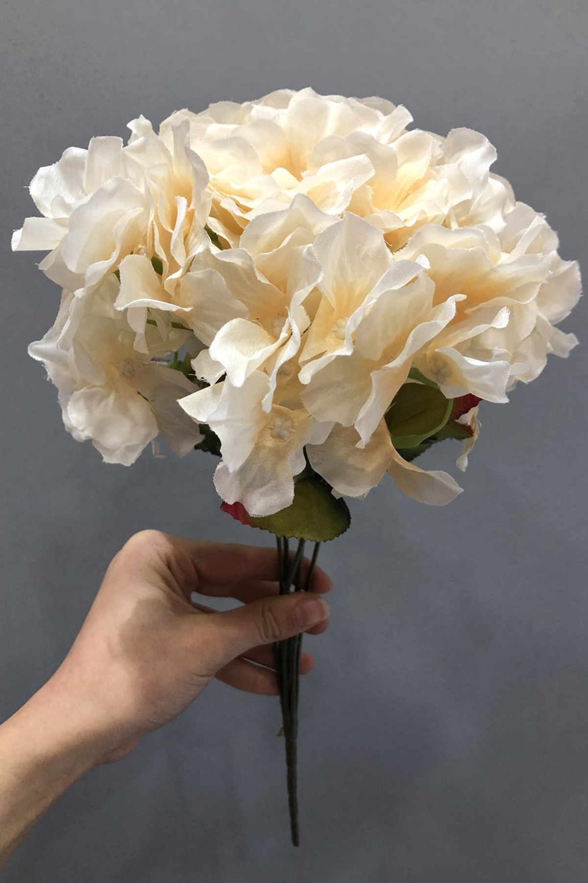 Salmon Hydrangea Flower