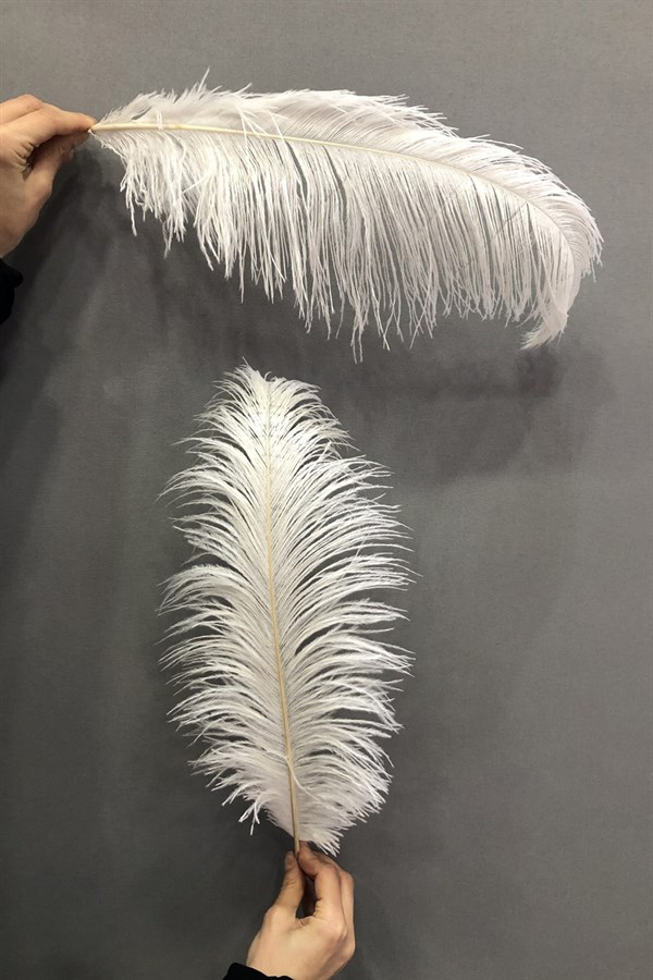 Cream Ostrich Feather 25-30 cm 1 piece