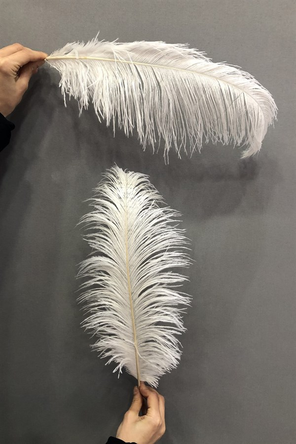 Cream Ostrich Feather 45-50 cm 1 piece