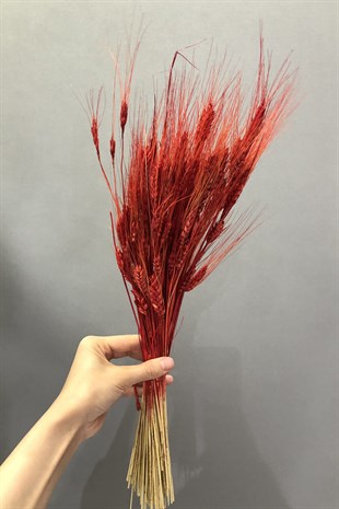 Kırmızı Buğday Kuru Çiçek | Hayalperest