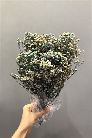 Mavi Yeşil Cipso Şoklanmış Kuru Çiçek | Hayalperest
