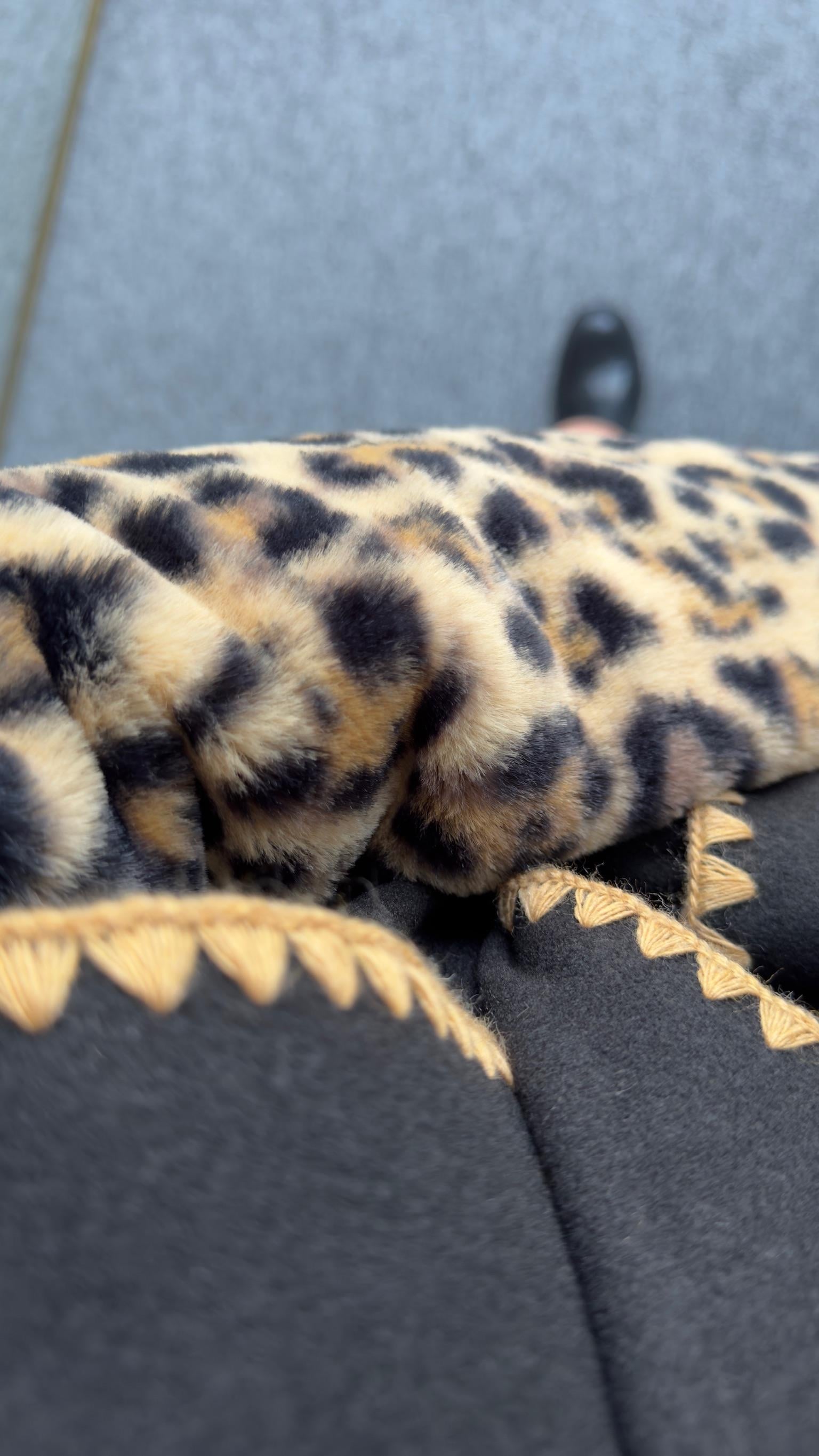 Kollar Leopar Kuşaklı Siyah Kaban