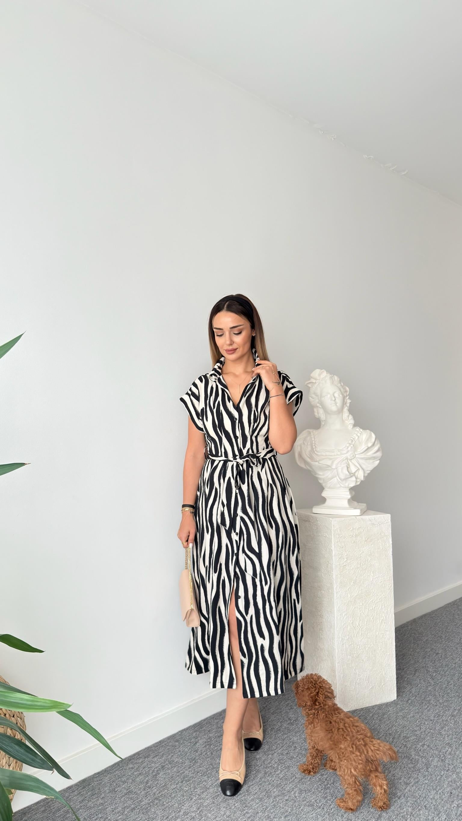 Beli Pensli Zra Model Zebra Desenli Elbise