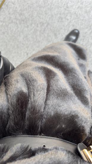 İçi Leopar Astarlı Siyah Peluş Kaban