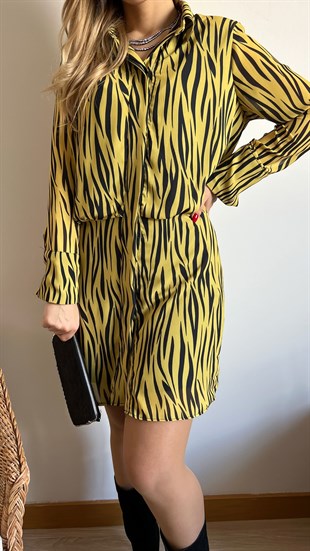 Zebra Desenli Elbise