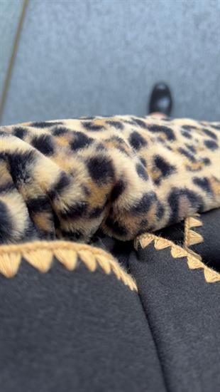 Kollar Leopar Kuşaklı Siyah Kaban