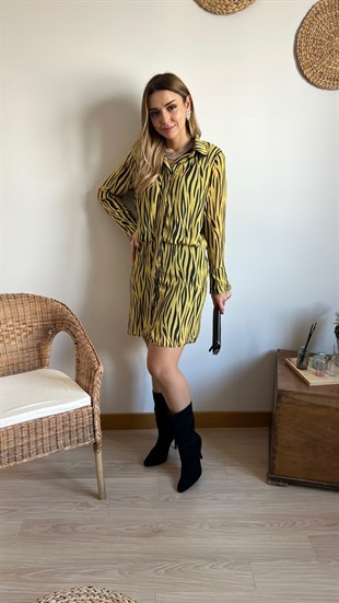 Zebra Desenli Elbise