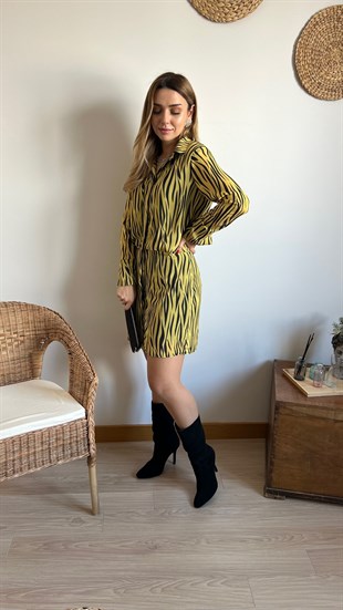 Zebra Desenli Elbise