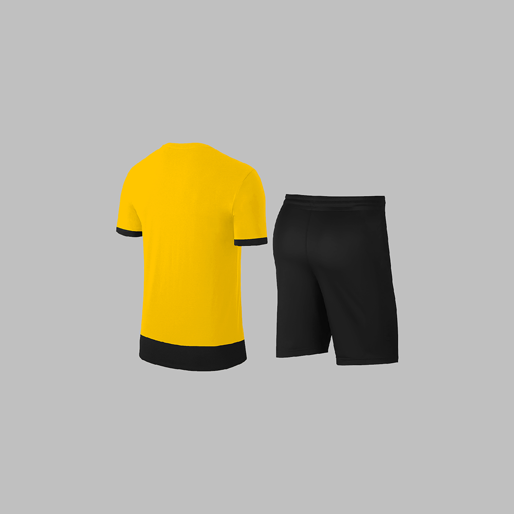 Büyük Beden Erkek Sarı Dri-Fit Kumaş Konforlu Cepli Sıfır Yaka Tişört Şort İkili Alt Üst Seti  4XL-10XL
