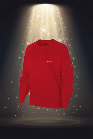 Büyük Beden Kadın Kırmızı Günlük Sporcu Sweatshirt 3XL-9XL M1