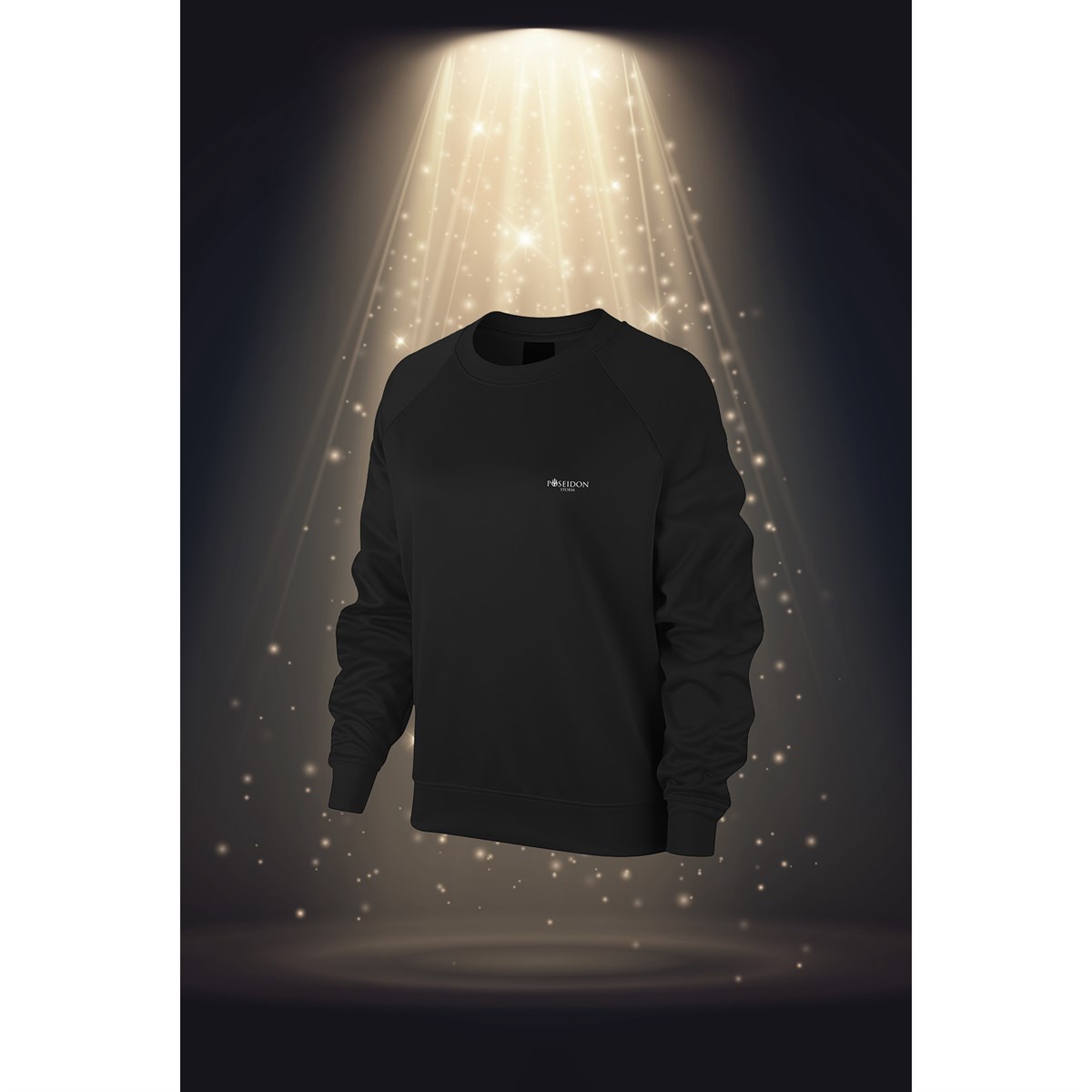 Büyük Beden Kadın Siyah İnterlok Kumaş Düz Renk Rahat Bisiklet Yaka Sweatshirt 3XL-10X
