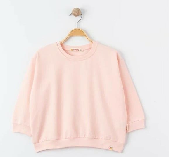 Tiffany Sweatshirt Oversize Theme Pudra