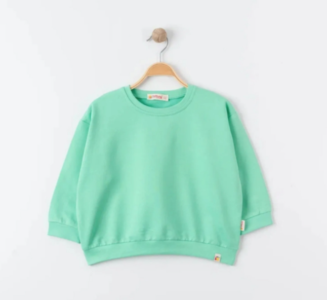 Tiffany Sweatshirt Oversize Theme Mint