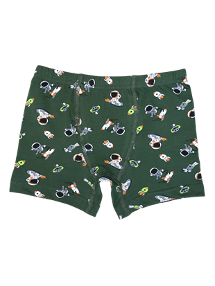 İki Yıldız Erkek Çocuk Boxer 3'lü
