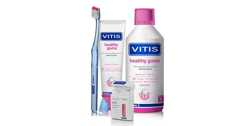 vitis gingival