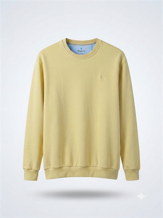 Büyük Beden Erkek SweatShirt