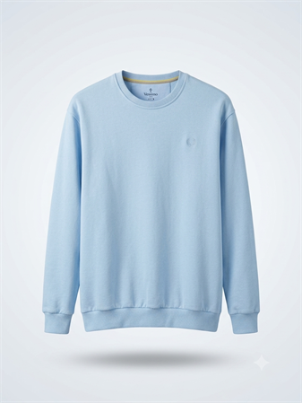 Büyük Beden Erkek SweatShirt