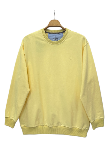Büyük Beden Erkek SweatShirt
