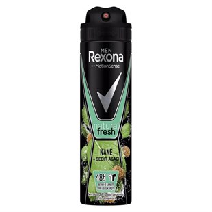 REXONA Men Natural Fresh Nane ve Sedir Ağacı Deodorant 150ml