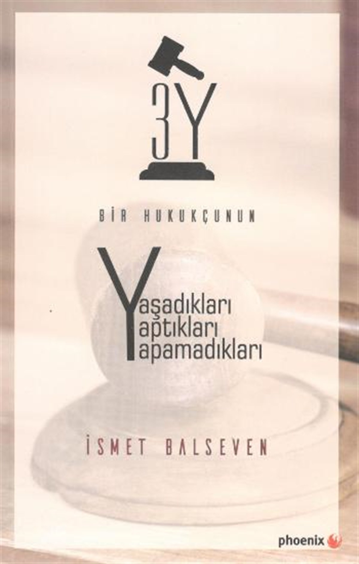 3Y Bir Hukukçunun Yaşadıkları, Yaptıkları, Yapamadıkları