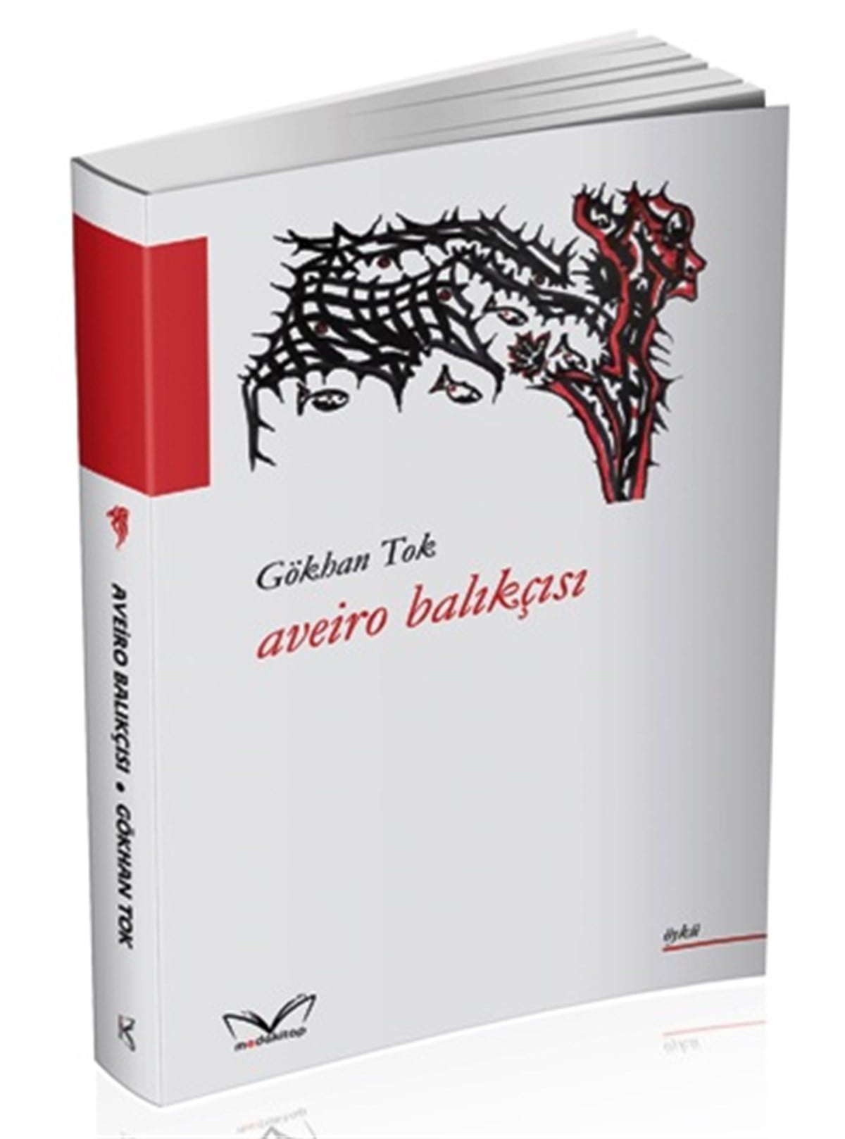 Aveiro Balıkçısı