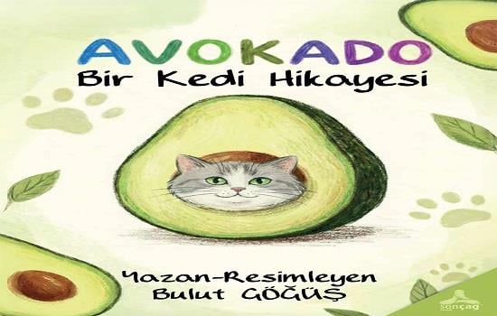 Avokado
