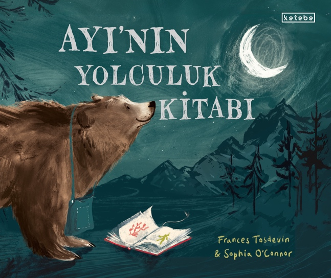 Ayı’nın Yolculuk Kitabı