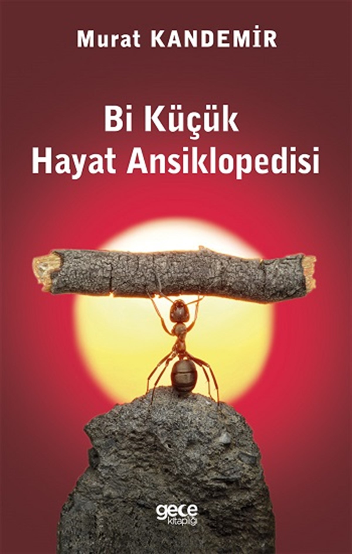 Bi Küçük  Hayat Ansiklopedisi