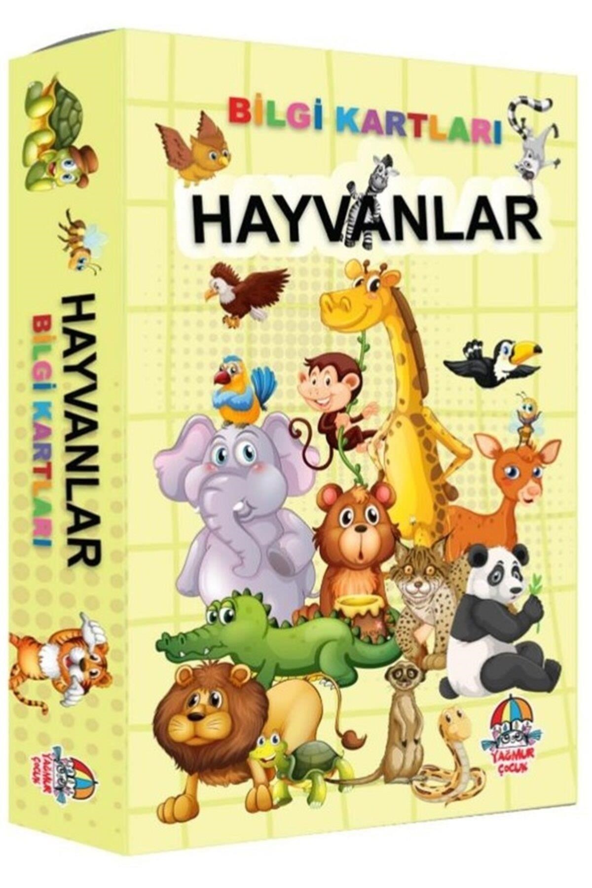 Bilgi Kartları - Hayvanlar