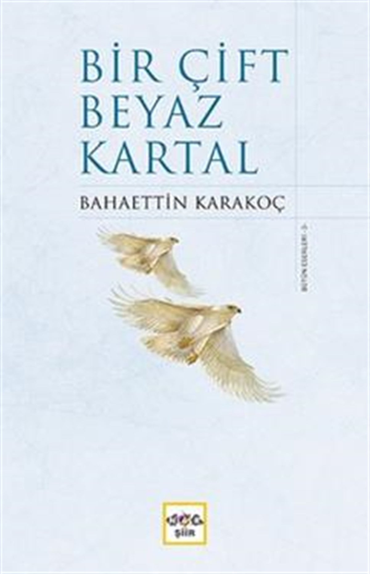 Bir Çift Beyaz Kartal