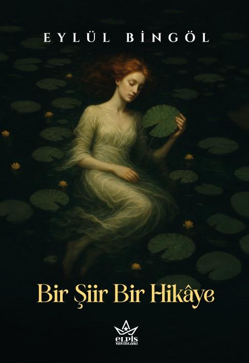 Bir Şiir Bir Hikaye