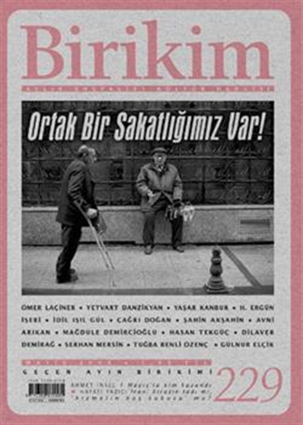 Birikim Sayı 229 (Mayıs 2008)