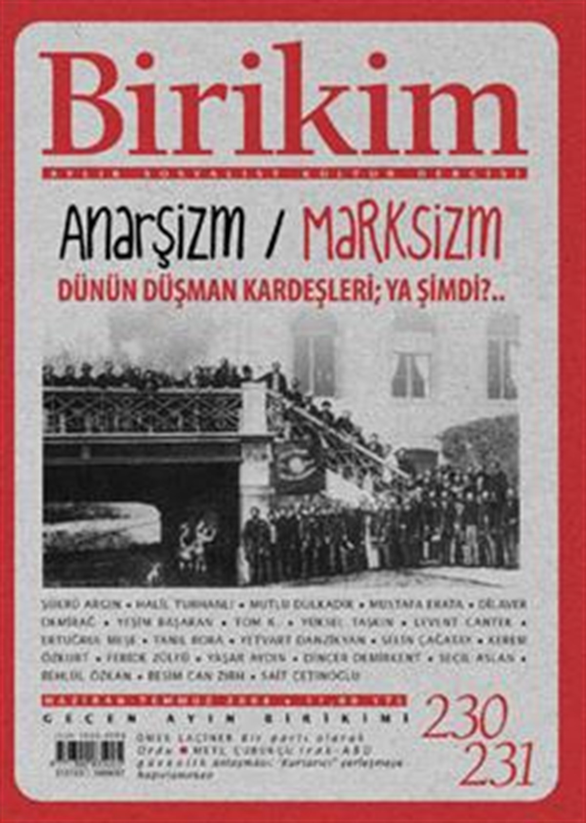 Birikim Sayı 230-231 (Haziran-Temmuz 2008)