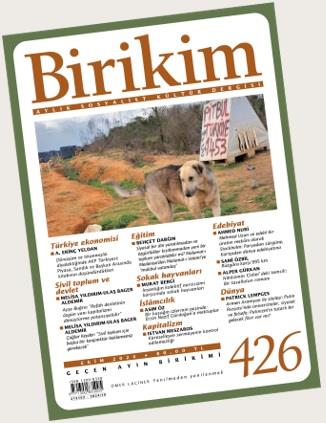 Birikim Sayı 426 - Ekim 2024