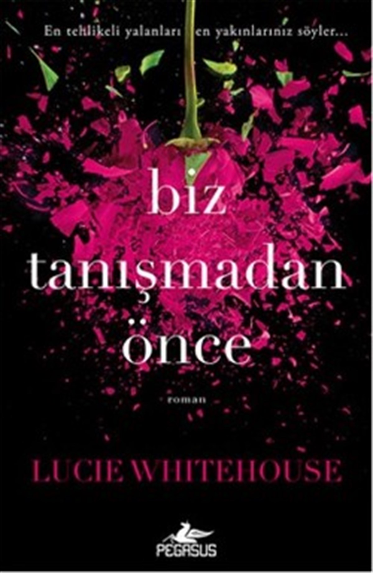 Biz Tanışmadan Önce