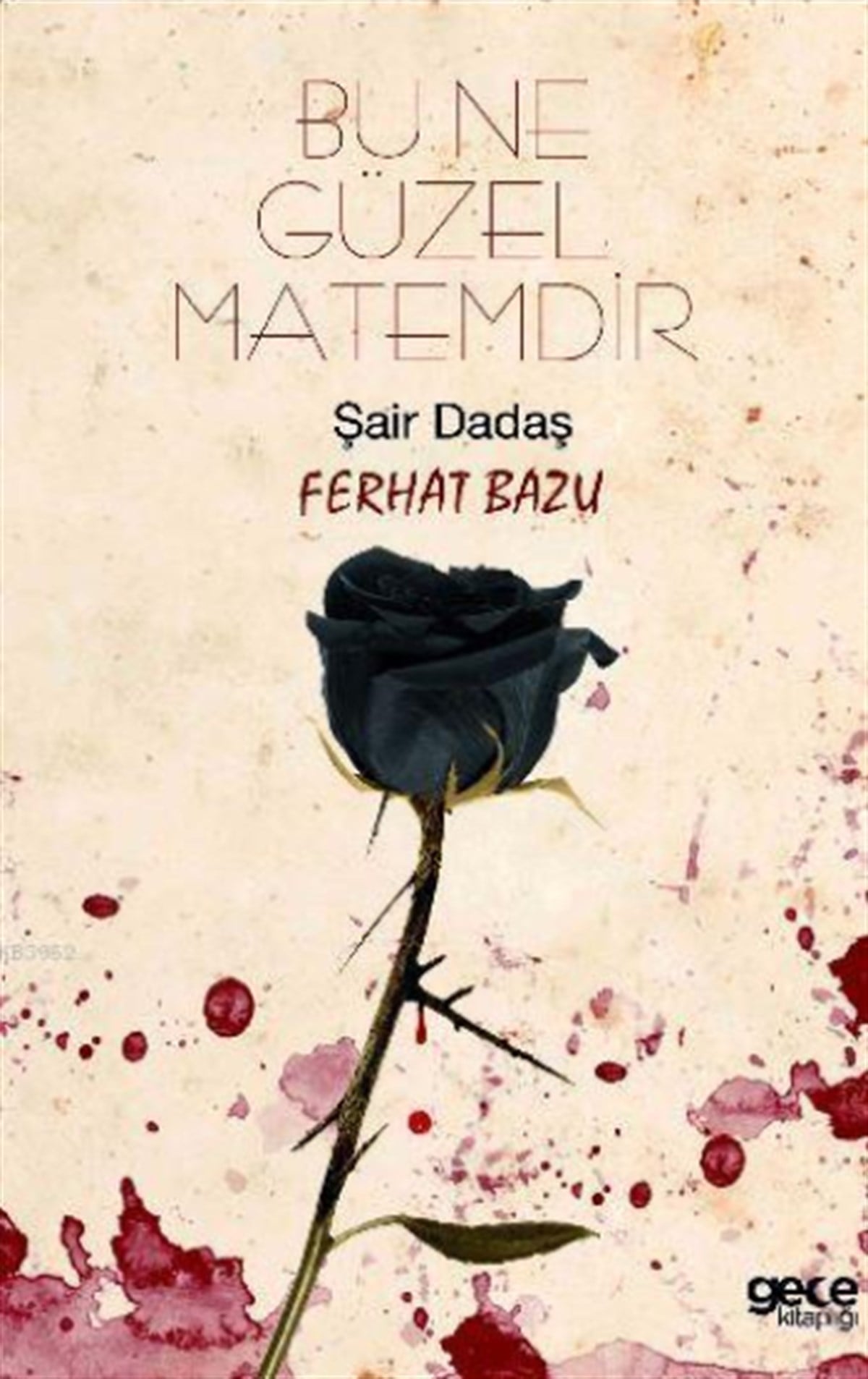 Bu Ne Güzel Matemdir