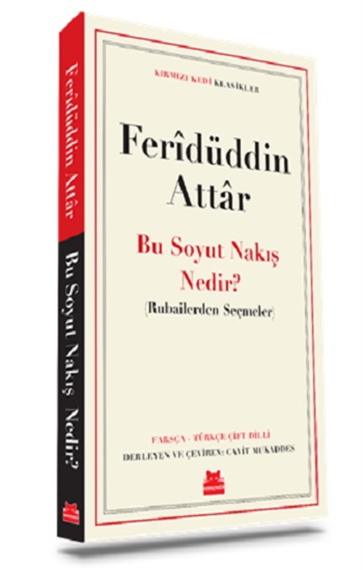 Bu Soyut Nakış Nedir ?