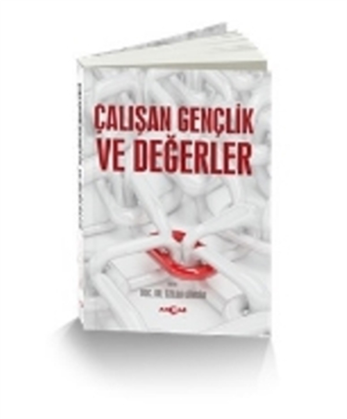 Çalışan Gençlik ve Değerler