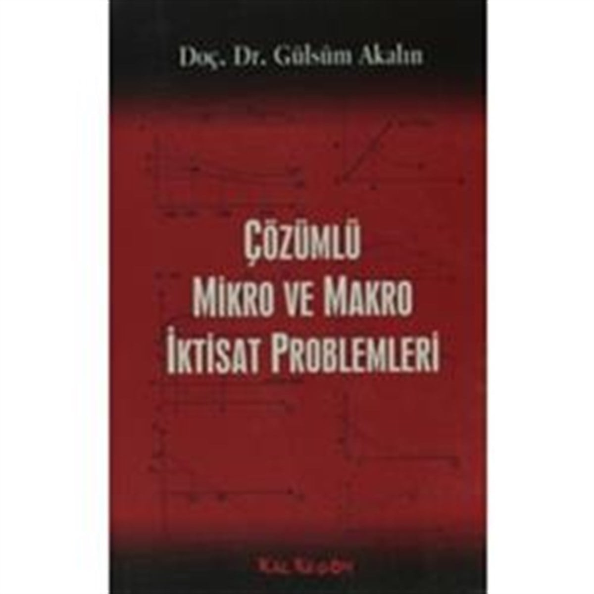 Çözümlü Mikro ve Makra İktisat Problemleri