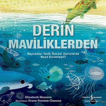 Derin Maviliklerden