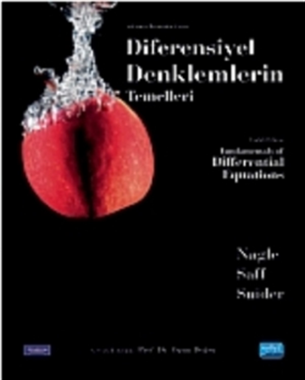 Diferensiyel Denklemlerin Temelleri - Fundamentals of Differential Equations