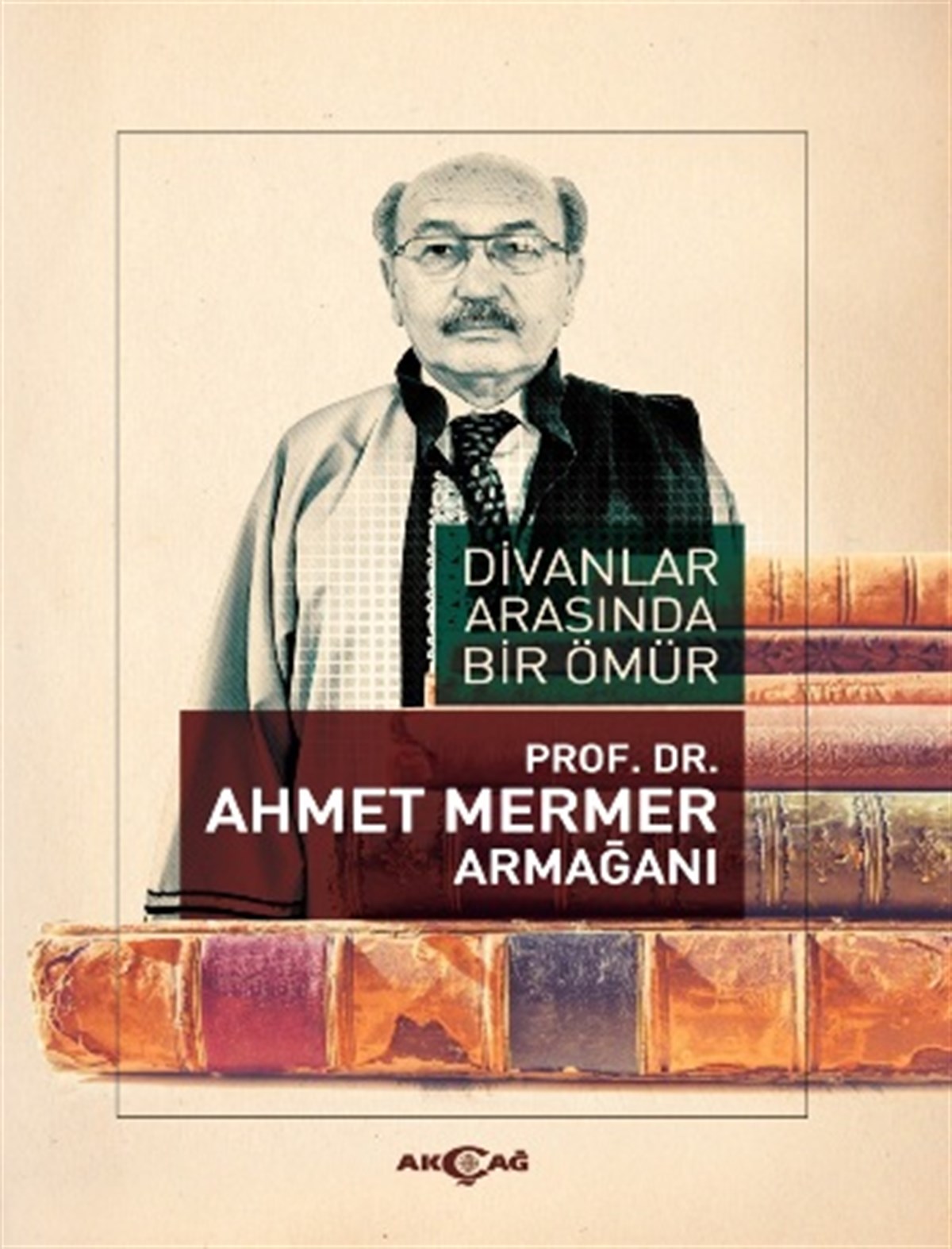 Divanlar Arasında Bir Ömür - Ahmet Mermer Armağanı