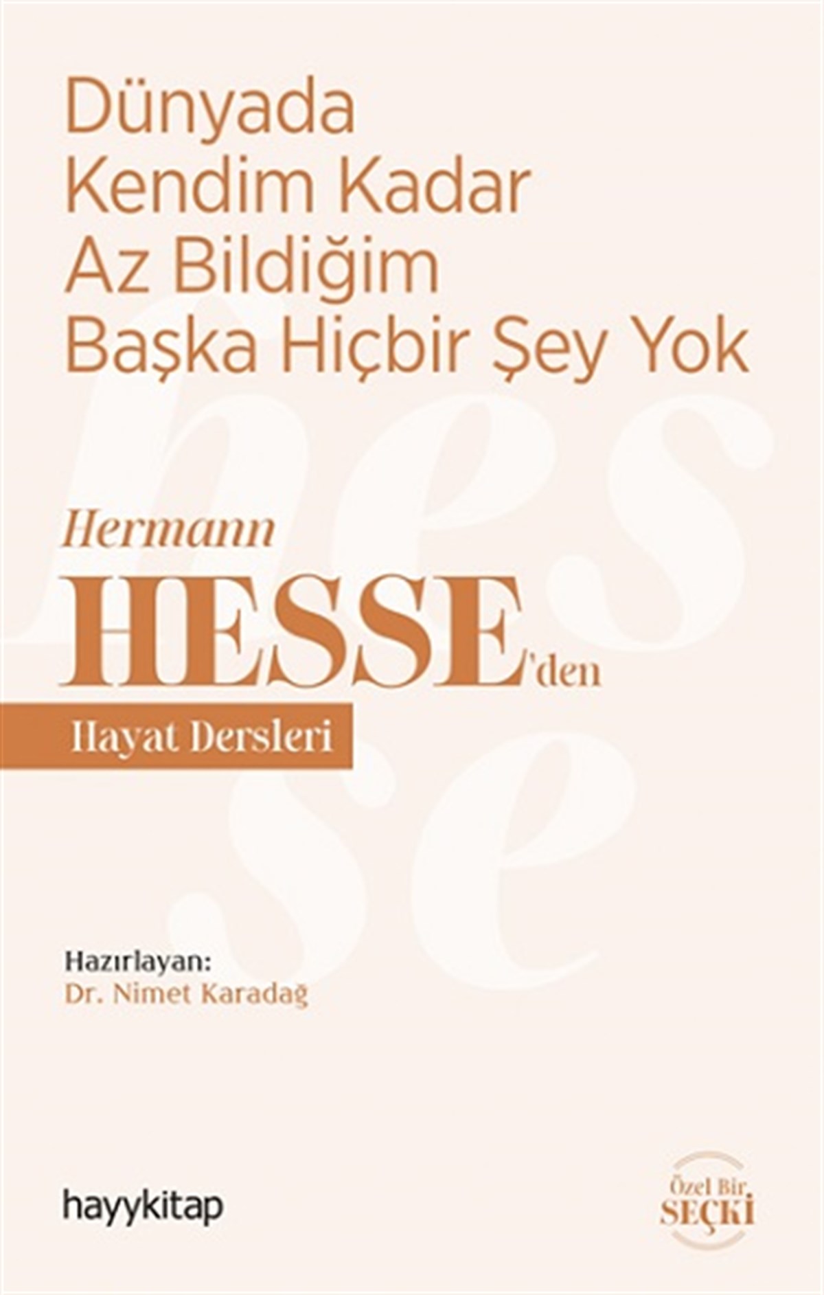 Dünyada Kendim Kadar Az Bildiğim Başka Hiçbir Şey Yok - Hermann  Hesse’den Hayat  Dersleri