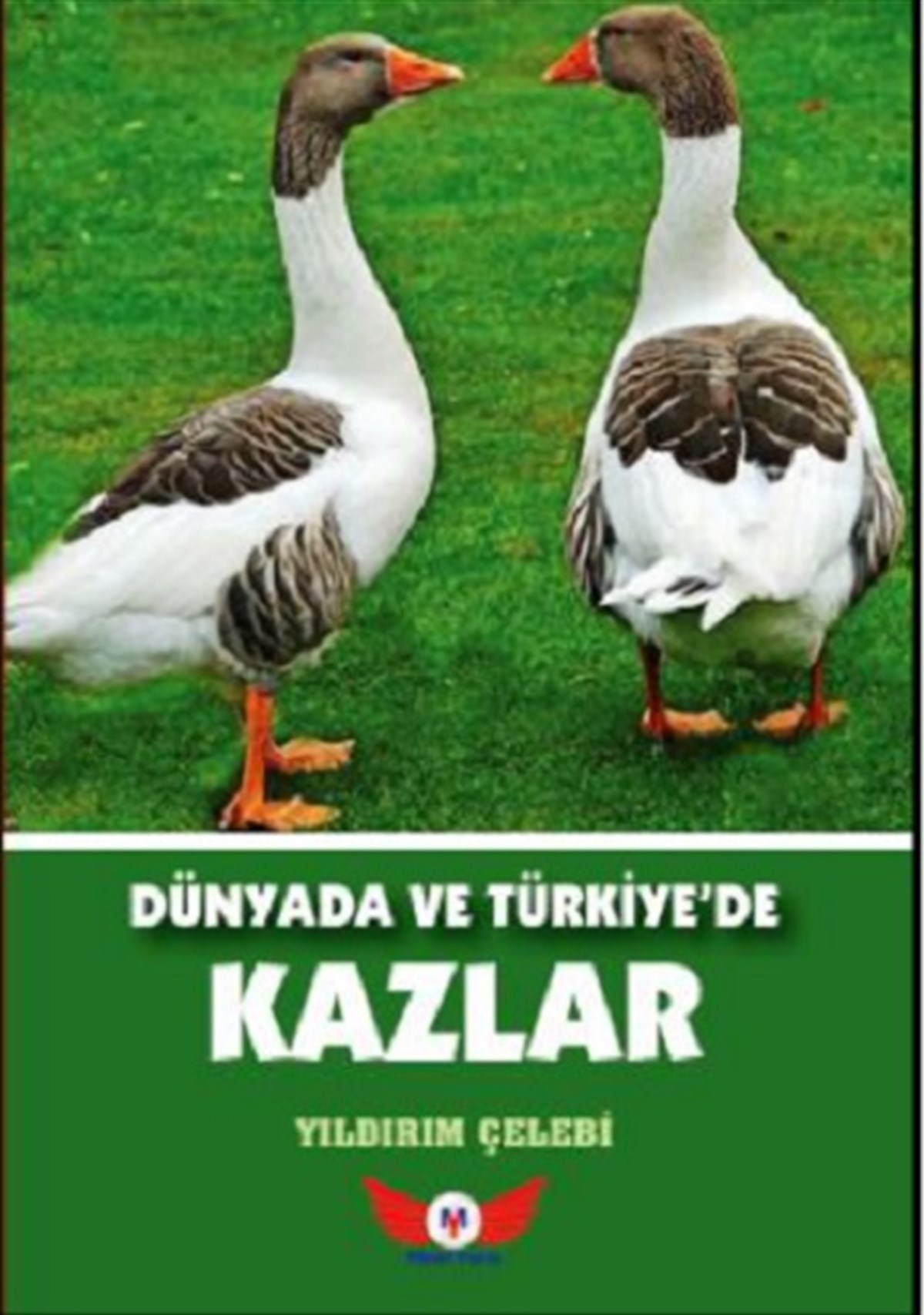Dünyada Ve Türkiye’de Kazlar