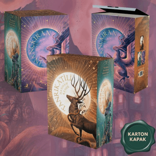 Düşmüş Tanrılar Serisi (Kutulu - 3 Kitap)